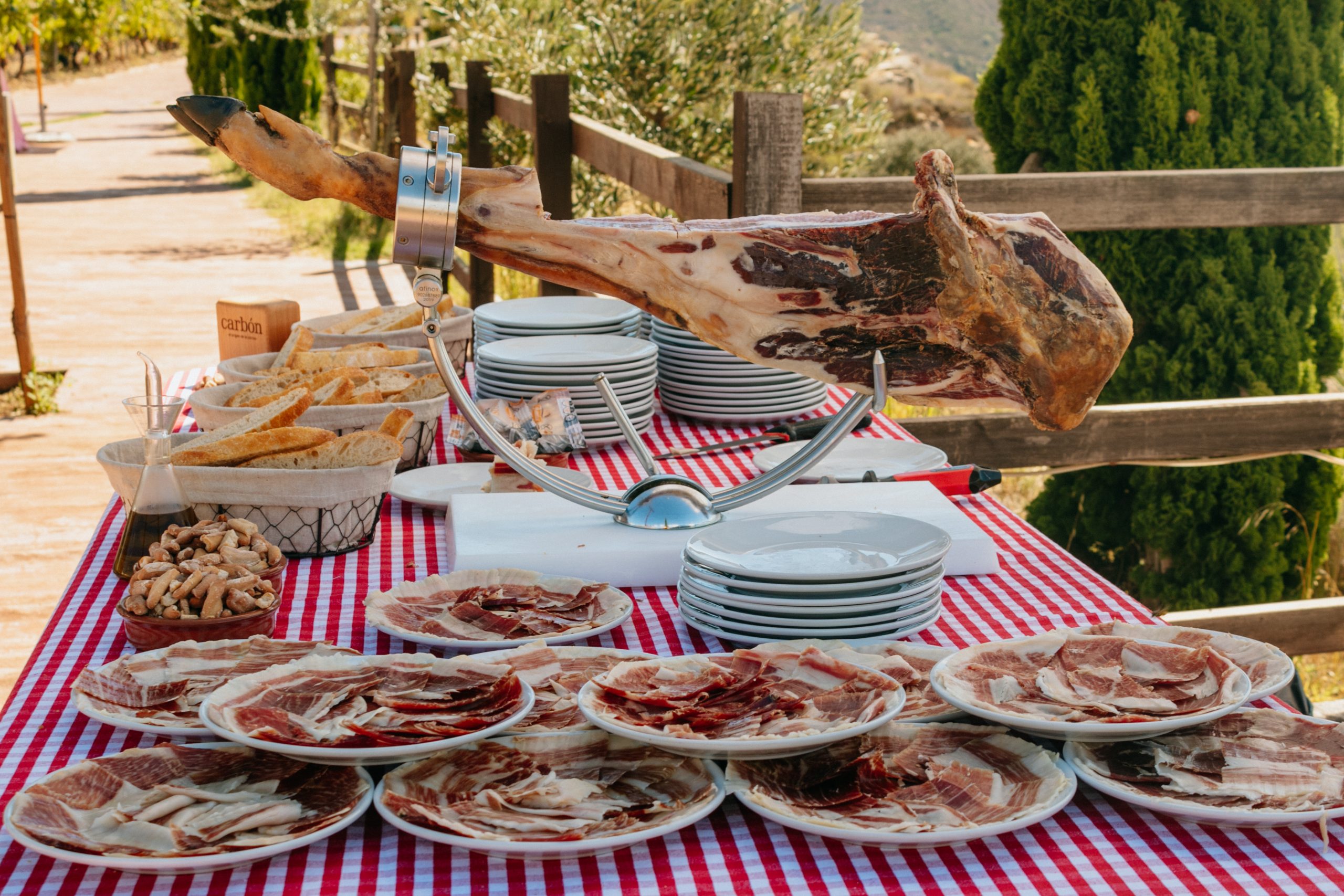 BOAL EN VALDELANA-52